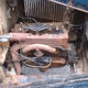 Image for article titled The Oral History Of An Amazing 1930 Ford Model A Off-Road Mail Truck